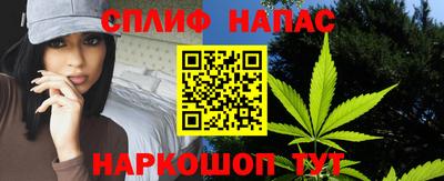 спиды Камышлов