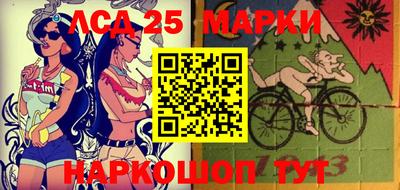 спиды Камышлов