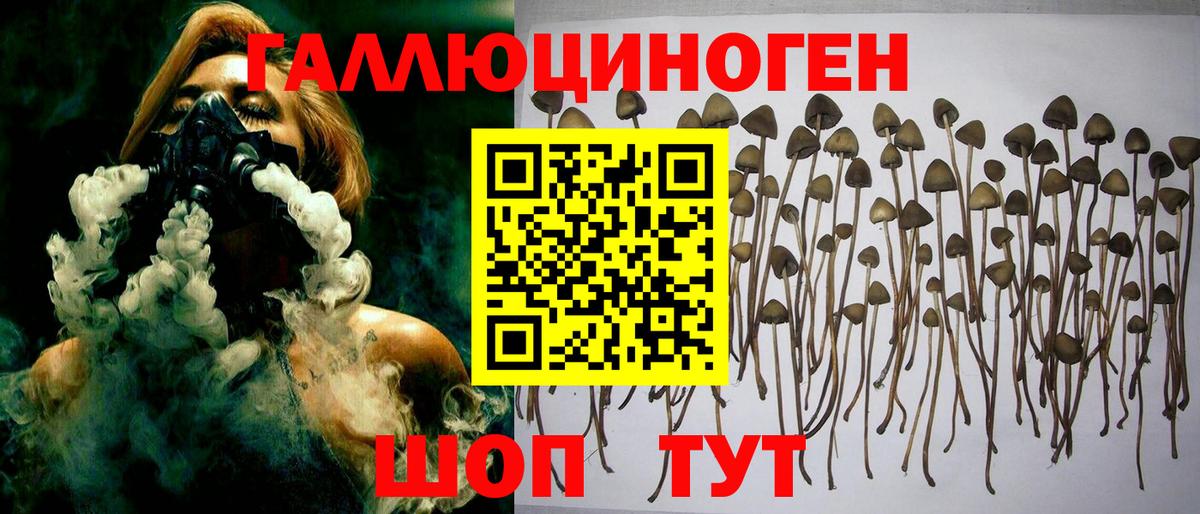 Галлюциногенные грибы Magic Shrooms Арсеньев