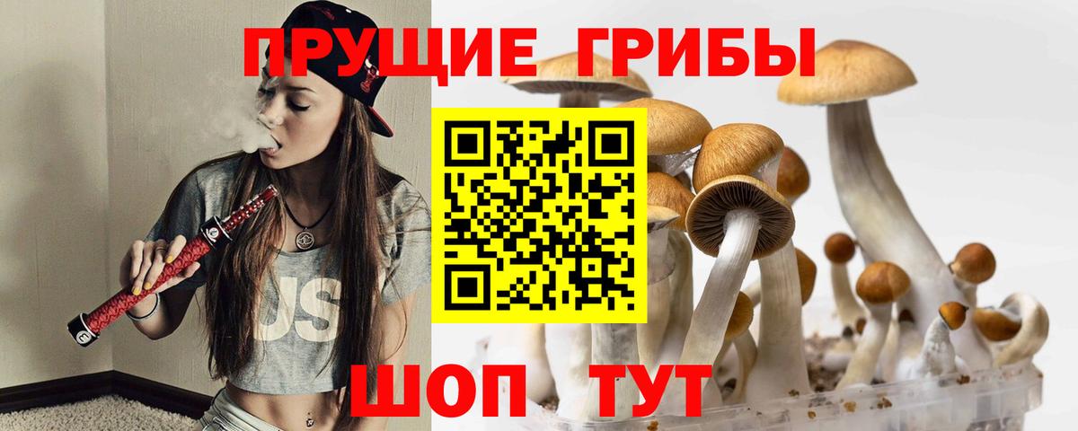 Галлюциногенные грибы прущие грибы  цена наркотик  Псилоцибиновые грибы прущие грибы  Арсеньев  Вход с VPN 
